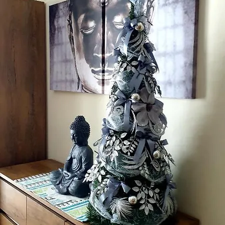 Апарт-отель Bibka Доновалы