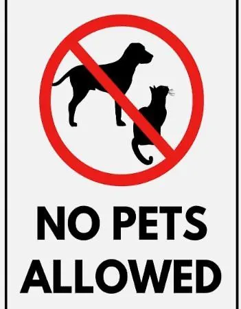 Bibka